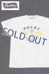 「Pherrow's/フェローズ」PACAFプリントTシャツ PTシリーズ【ホワイト】