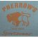 画像4: 「Pherrow's/フェローズ」BUFFALOロゴTシャツ PTシリーズ【モーニングスカイ】 (4)