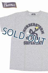 「Pherrow's/フェローズ」THUNDERSTORM SUPER CAT プリントTシャツ PTシリーズ【H.グレー】