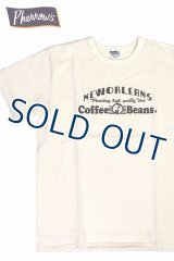 「Pherrow's/フェローズ」Coffee Beans プリントTシャツ PMTシリーズ【S・ホワイト】