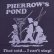 画像4: 「Pherrow's/フェローズ」POND プリントTシャツ PMTシリーズ【エッグプラント】