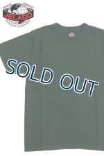画像: 「JELADO/ジェラード」丸胴クルーネックTシャツ ワンウォッシュ【グラスグリーン】