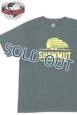 画像: 「JELADO/ジェラード」SHAWMUT プリント丸胴クルーネックTシャツ ワンウォッシュ【グラスグリーン】