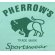 画像4: 「Pherrow's/フェローズ」バッファローロゴTシャツ PTシリーズ【M・グリーン】 (4)