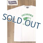 画像: 「Pherrow's/フェローズ」バッファローロゴTシャツ PTシリーズ【ホワイト】