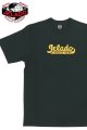画像: 「JELADO/ジェラード」JELADO Sport Wear プリントヘビーウェイトTシャツ【グラスグリーン】